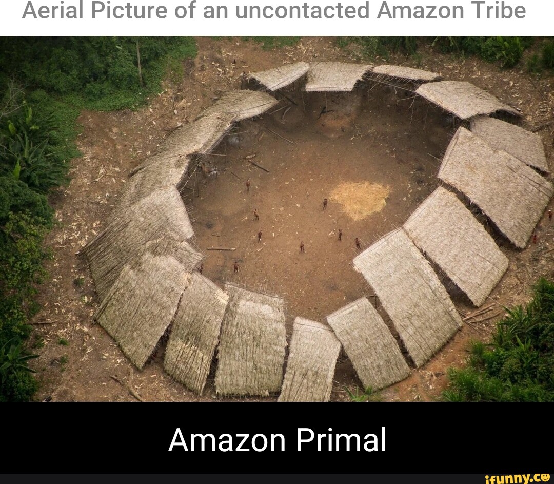 Aerial Picture Of An Uncontacted Amazon Tribe Amazon Primal