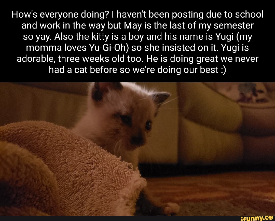 How's everyone doing? I haven't been posting due to school and work in the way but May is the last of my semester so yay. Also the kitty is a boy and his name is Yugi (my
momma loves Yu-Gi-Oh) so she insisted on it. Yugi is adorable, three weeks old too. He is doing great we never had a cat before so we're doing our best