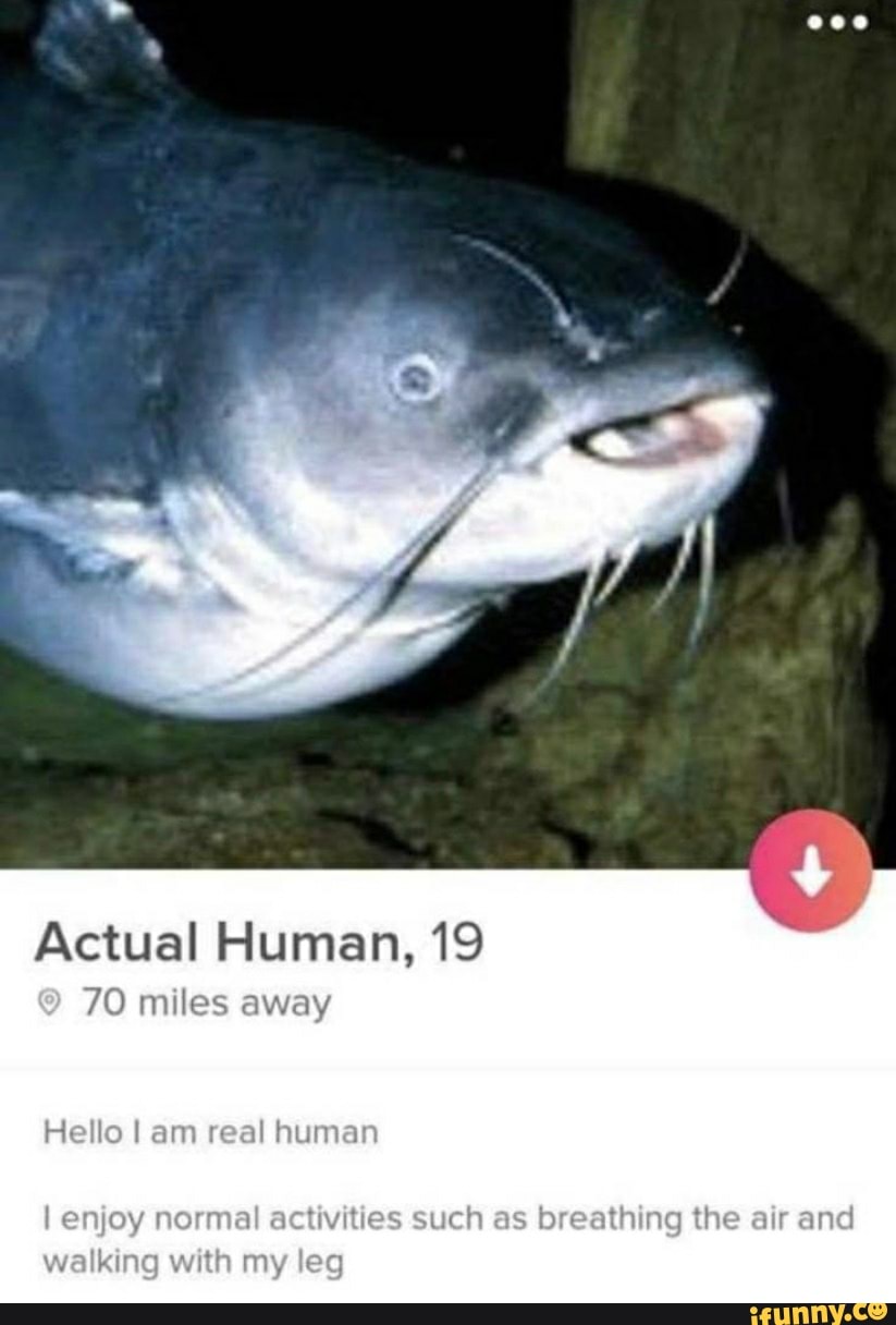 Actual Human, 19