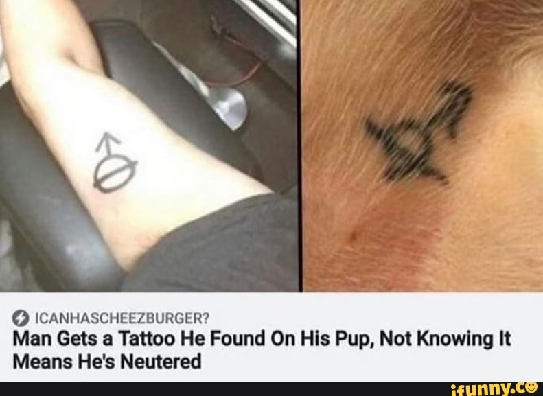 SS
ICANHASCHEEZBURGER?
Man Gets a Tattoo He Found On His Pup, Not Knowing It
Means He's Neutered