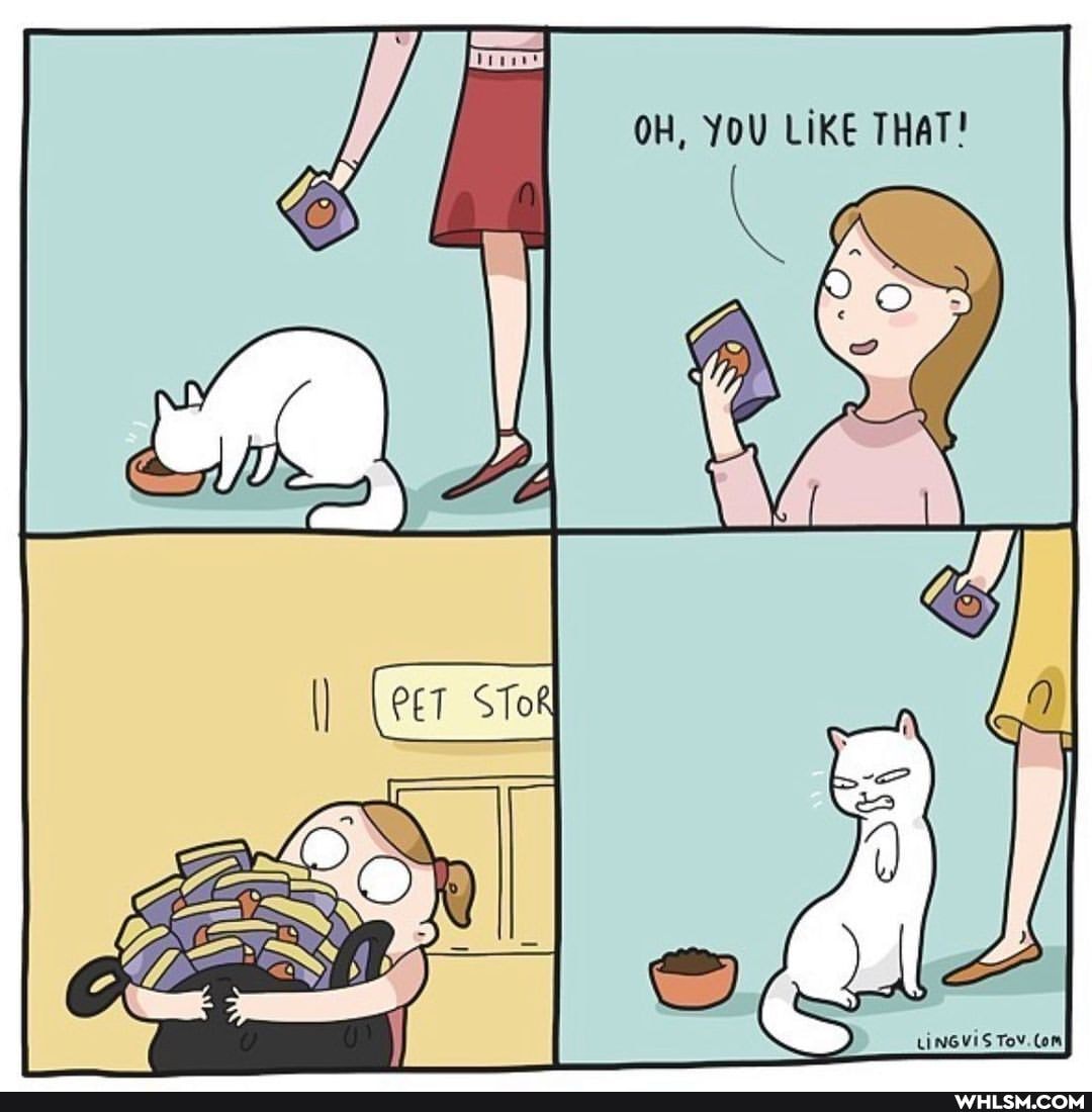 OH, YOU LIKE THAT?