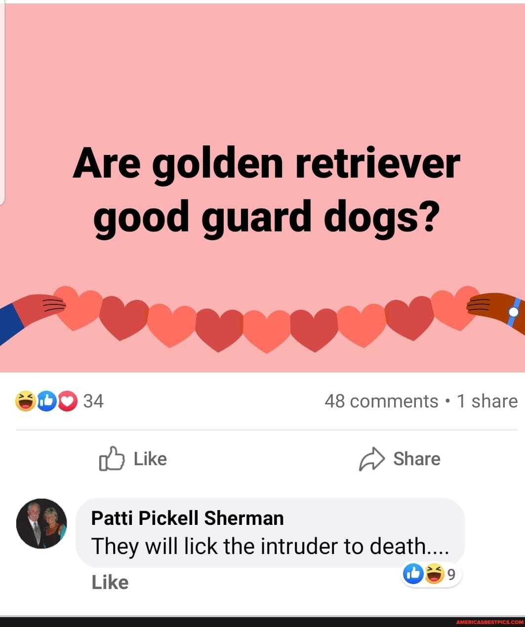 Are golden retriever good guard dogs?
FF
34 48 comments 1 share
Like Share
Patti Pickell Sherman
They will lick the intruder to death...
Like Os: