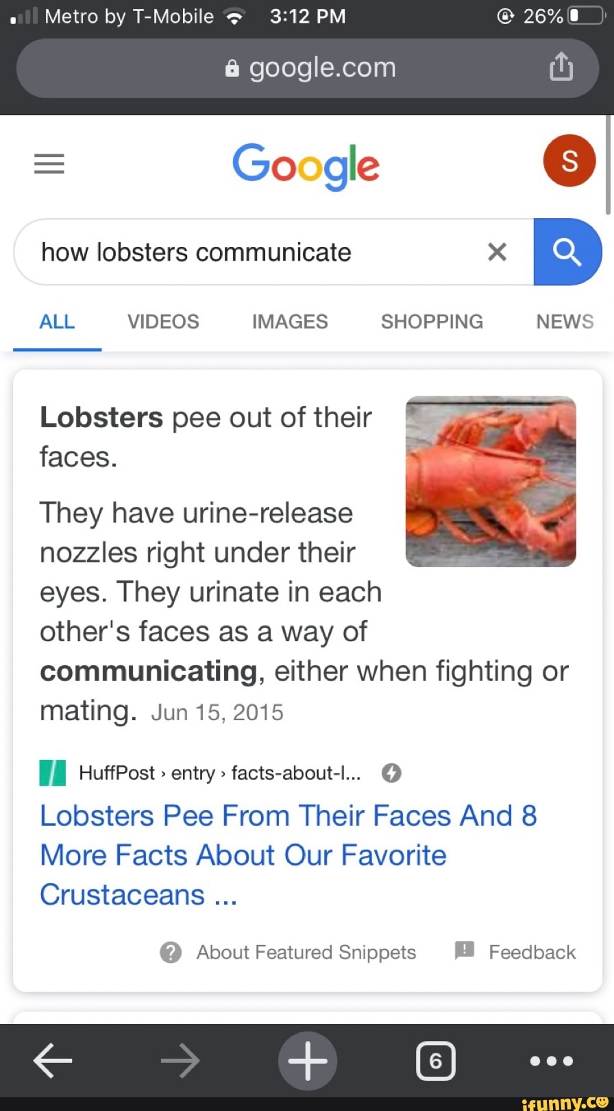 Google ©
how lobsters communicate x
Lobsters pee out of their
F
faces. 5
They have urine-release
nozzles right under their
eyes. They urinate in each
other's faces as a way of
communicating, either when fighting or
mating. Jun 15, 2015
FO HuffPost> entry" facts-about-l... O
Lobsters Pee From Their Faces And 8
More Facts About Our Favorite
Crustaceans @ About Featured Snippets EB Feedback