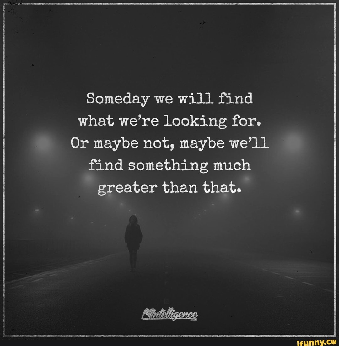 Someday We Will Find What We Re Looking For Or Maybe Not Maybe We Ll Find Something Much Greater Than That Ifunny