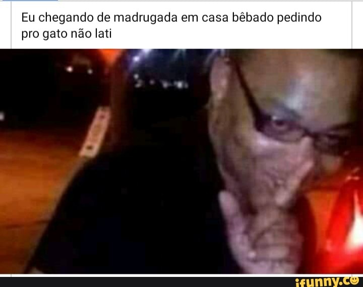 Eu chegando de madrugada em casa bêbado pedindo pro gato não lati