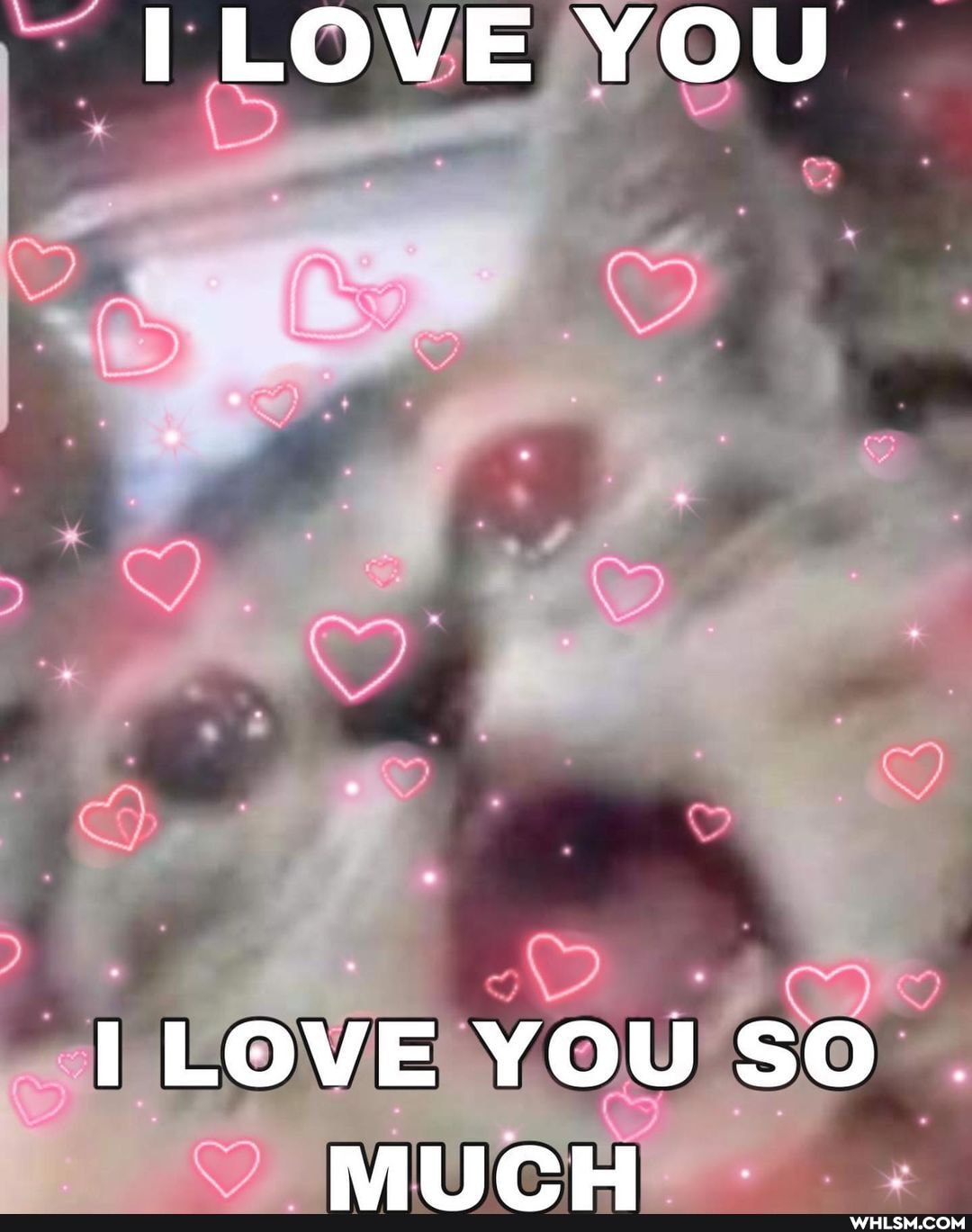 I LOVE YOU
I LOVE YOU SO
NALI@ LI