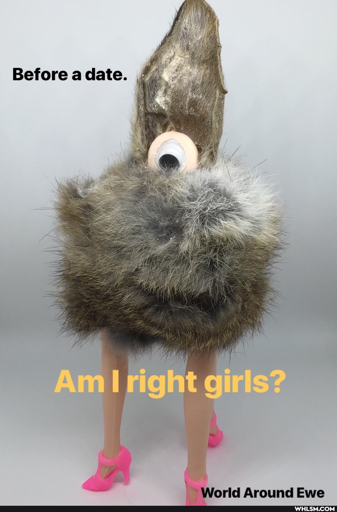Before a date.
World Around Ewe