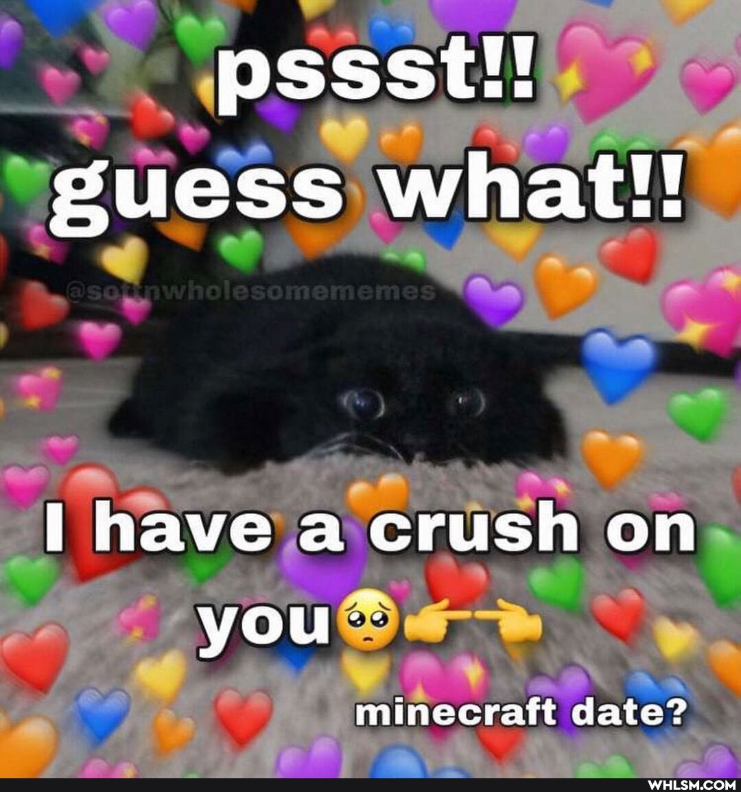 pssst!! guess what!!
have a crush on
you
minecraft date?