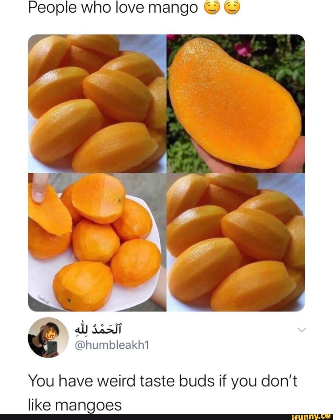 People who love mango Y Y You have weird taste buds if you don't like