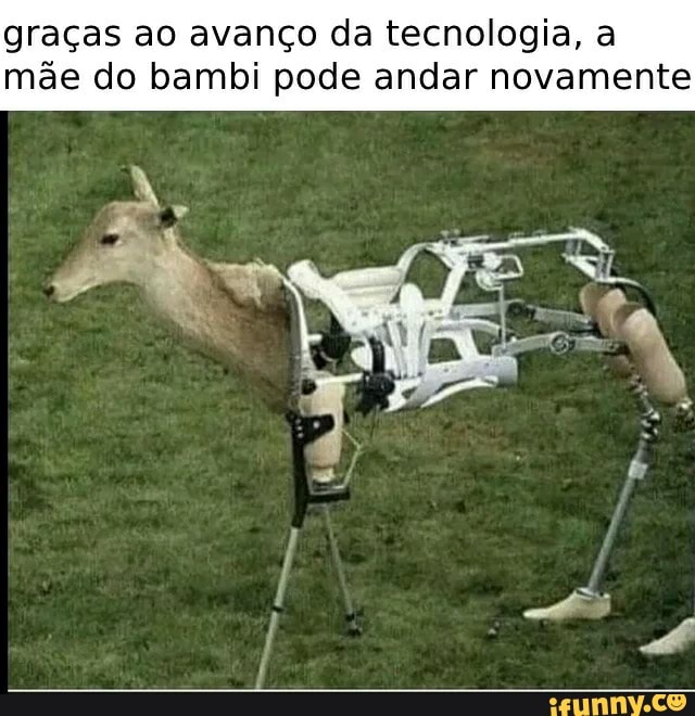 graças ao avanço da tecnologia, a mãe do bambi pode andar novamente