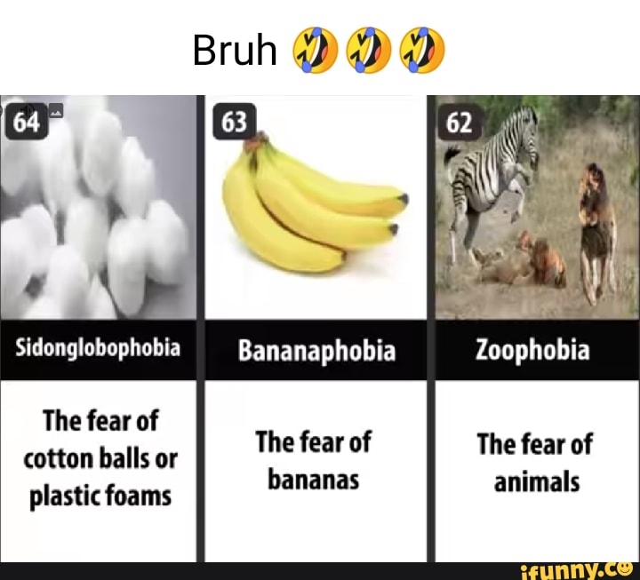 Zoophobia The fear of cotton balls or plastic foams Brulh 63 Bananaphobia  The fear of bananas The fear of animals 