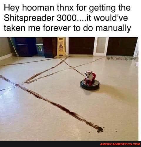Hey hooman thnx for getting the
Shitspreader 3000....it would've taken me forever to do manually
aI I ruie aI