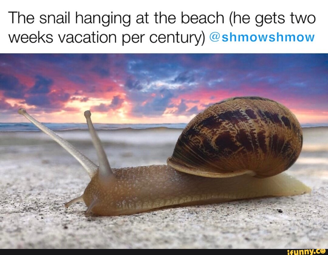 Imortalsnailcomeback memes. Best Collection of funny ...