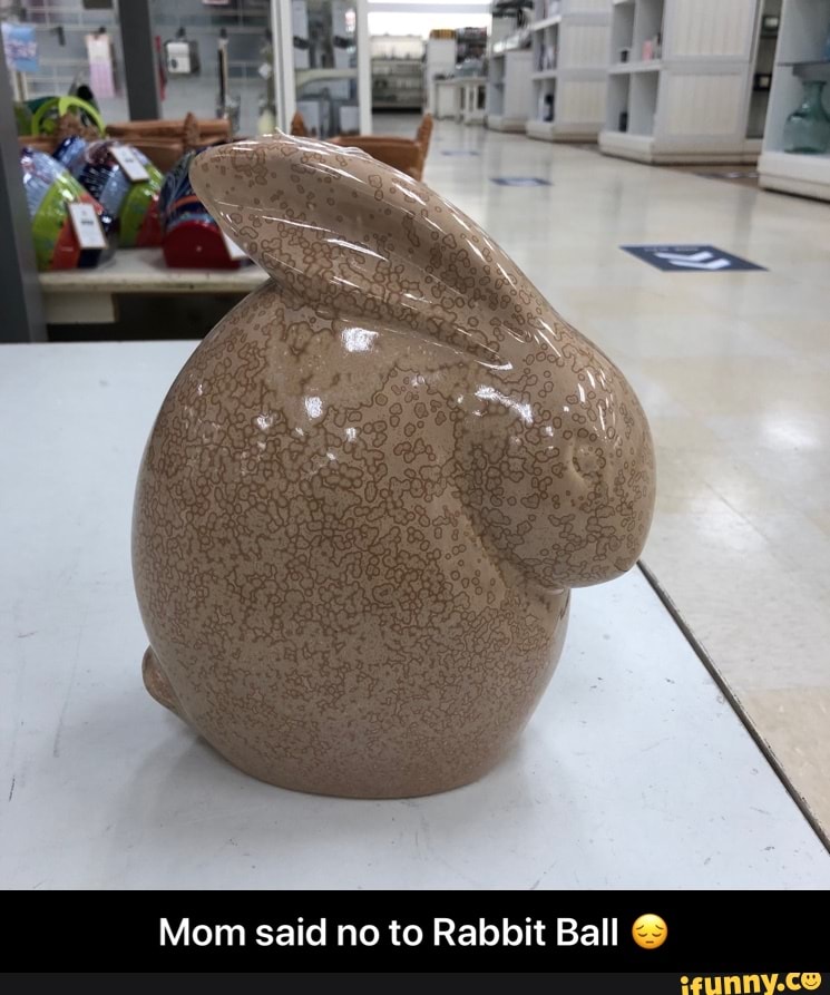 Mom said no to Rabbit Ball ยฎ - Mom said no to Rabbit Ball ๐