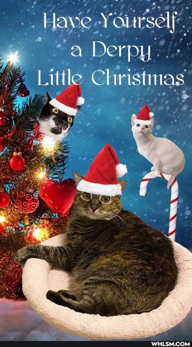 Have. eursel, berpy
Little Chrisnas