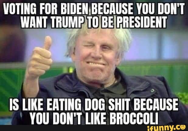 VOTING FOR BIDEN BECAUSE YOU DON'T WANT TRUMP BE PRESIDENT IS LIKE EATING DOG SHIT BECAUSE YOU DON'T LIKE BROCCOLI