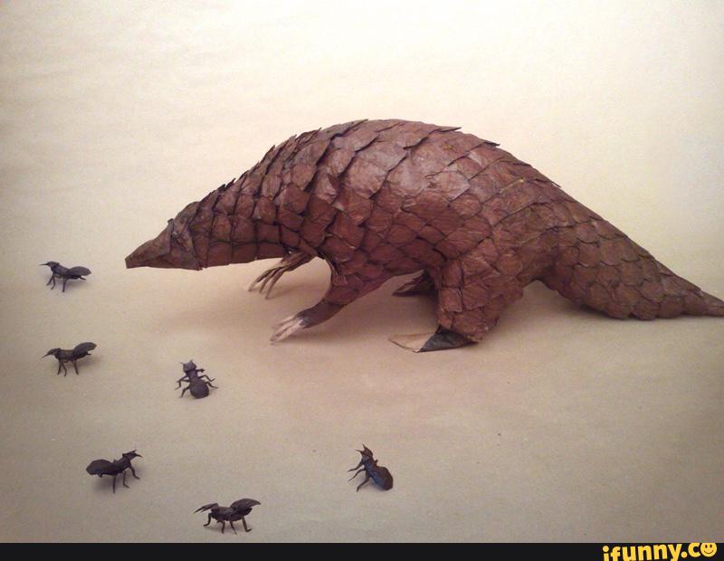 pangolin
