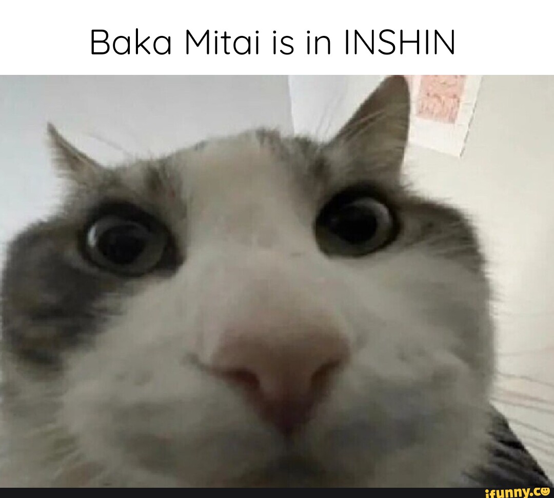 Impressive. Very nice. Now let's see which version of Baka Mitai is in your  search history. - iFunny