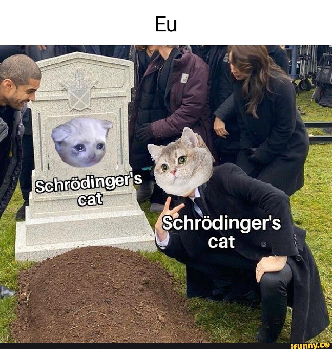 Schrodingers Cat Explained