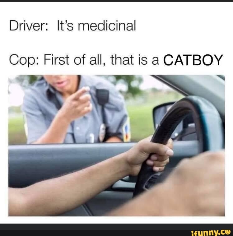 Driver: It's medicinal
Cop: First of all, that is a CATBOY
SS