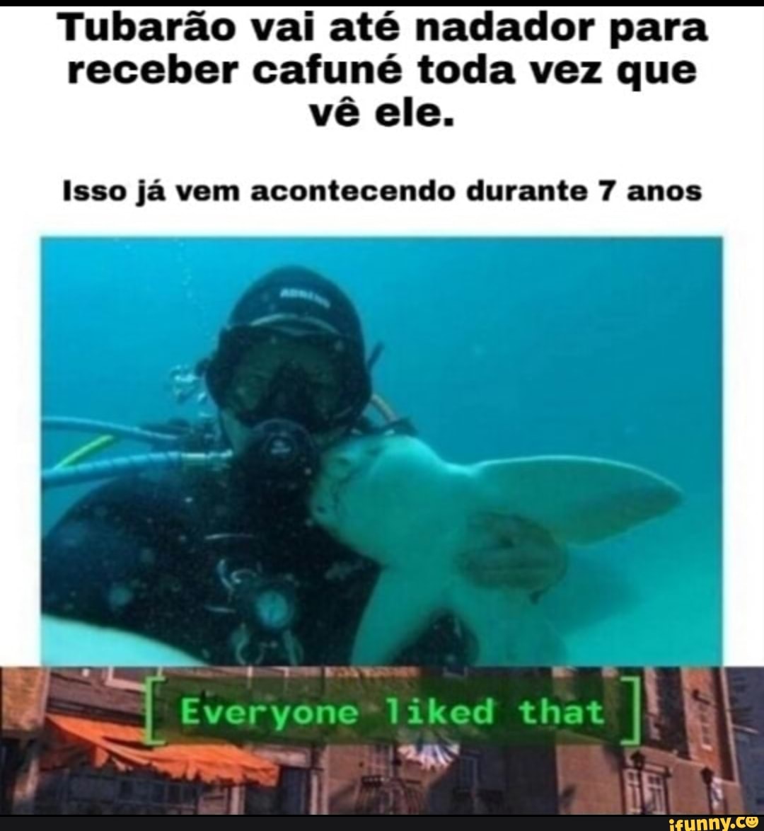 Tubarão vai até nadador para
receber cafuné toda vez que
vê ele.
Isso já vem acontecendo durante 7 anos