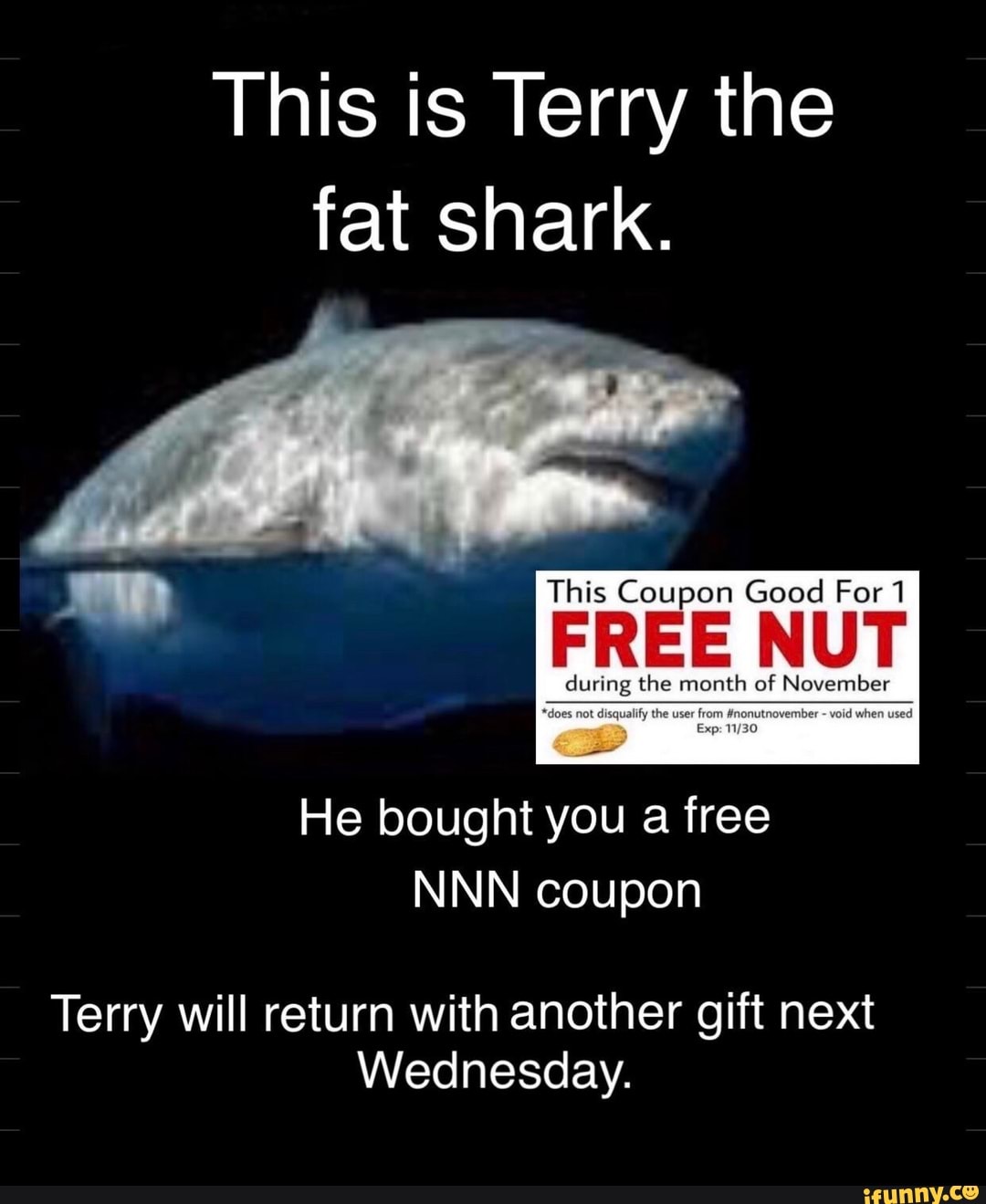 This is Terry the fat shark. This Coupon Good For 1 during the month of