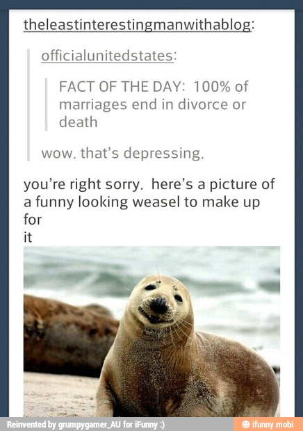 theleastinterestingmanwithablog:
officialunitedstates:
FACT OF THE DAY: 100% of
marriages end in divorce or
death
wow. that's depressing.
you're right sorry. here's a picture of
a funny looking weasel to make up
for
it