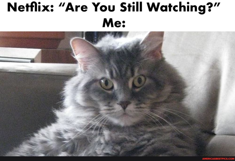 Netflix: "Are You Still Watching?"
Me: