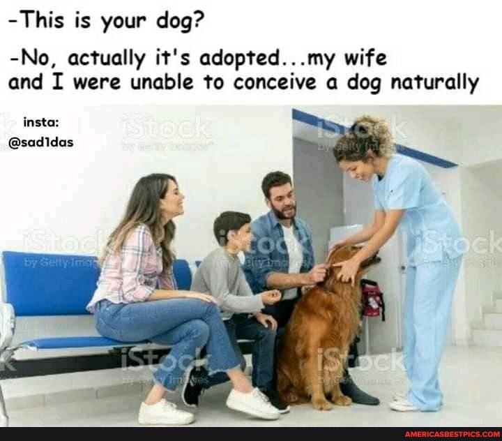 -This is your dog?
insta:
@sadidas
-No, actually it's my wife and I were unable to conceive a dog naturally