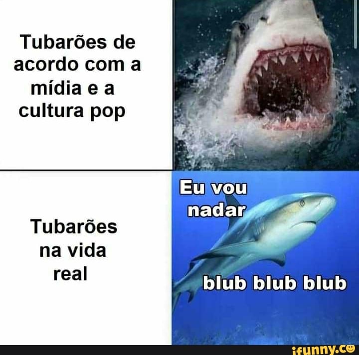 Tubarões de acordo com a mídia e a cultura pop
Tubarões na vida
real
Eu vou
nadar
blub blub blub