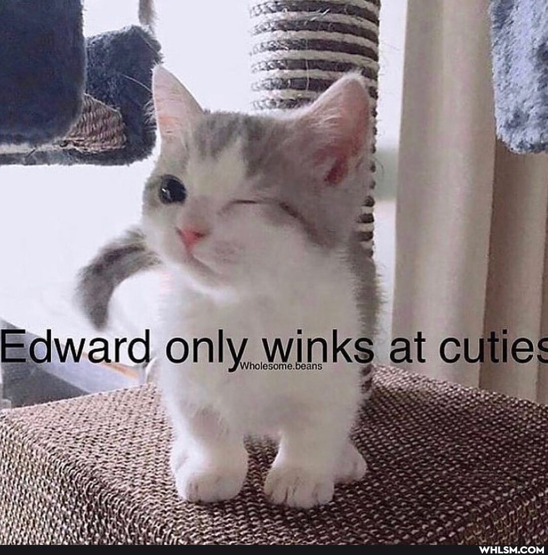 winks at cut
dware, only