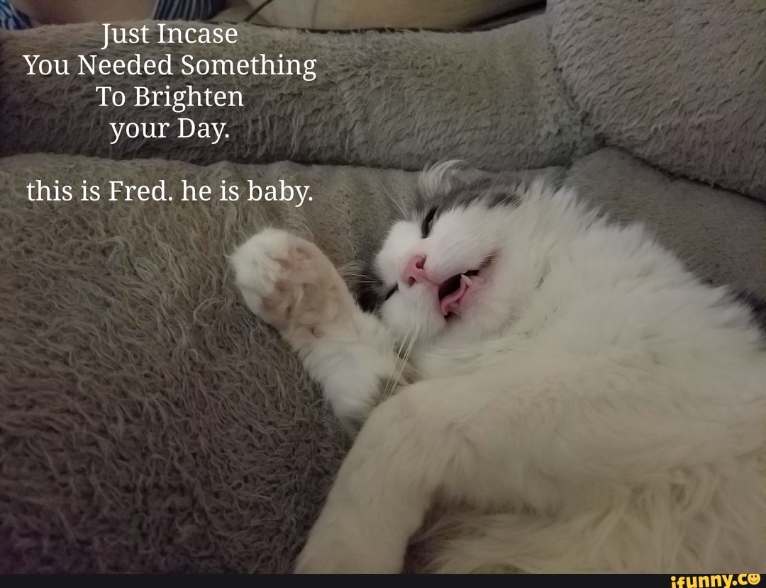 Just Incase
You Needed Something
To Brighten your Day.
this is Fred. he is baby.