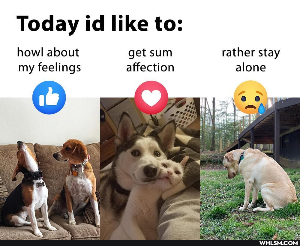 Today id like to:
howl about get sum rather stay my feelings affection alone