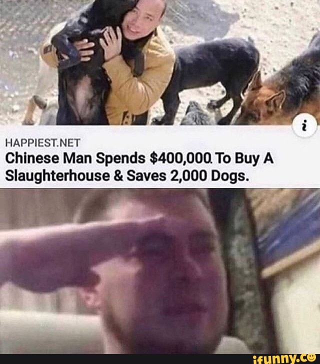 HAPPIEST.NET
Chinese Man Spends $400,000. To Buy A
Slaughterhouse Saves 2,000 Dogs.