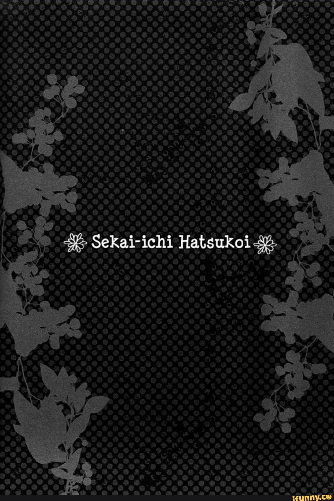 yaoi, sekaiichihatsukoi, onoderaritsu, junjouromantica