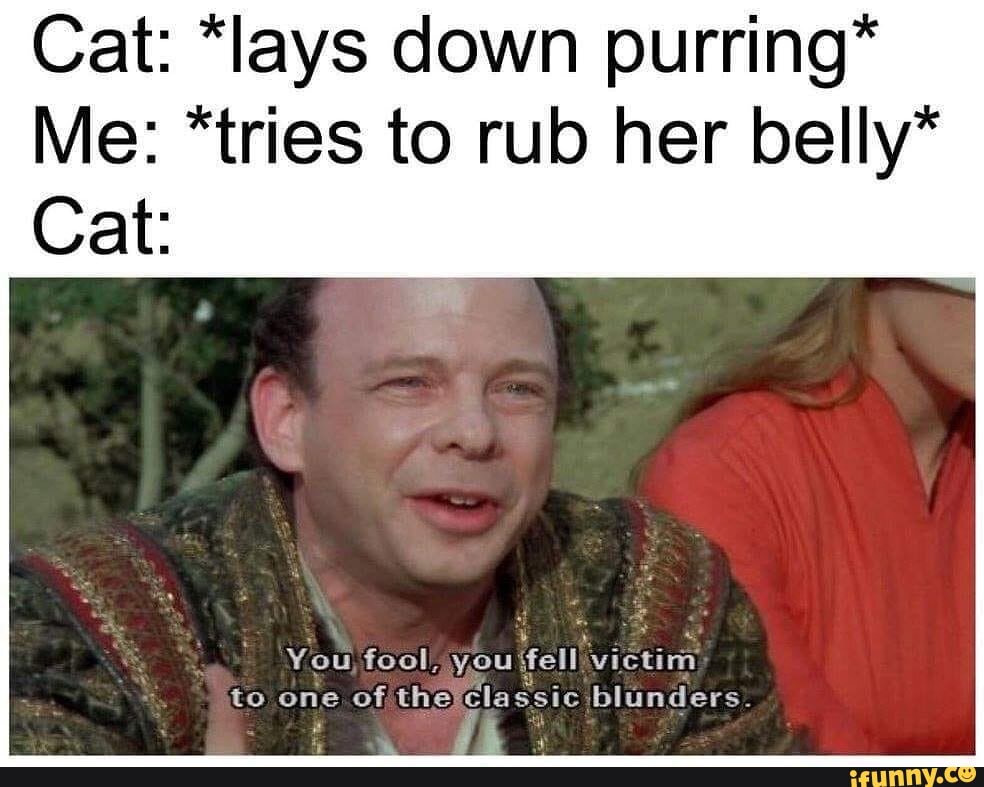 Cat *lays down purring* Me *tries to rub her belly* Cat tu You one