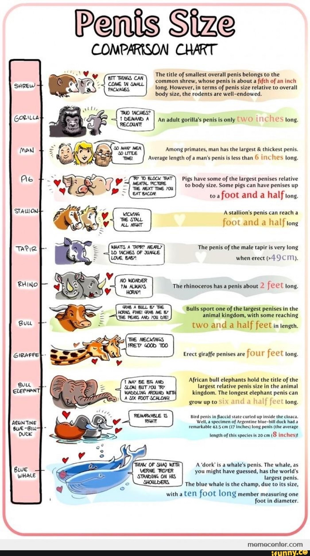 Penis Size COMPARISON CHART The title of smallest overall penis belongs