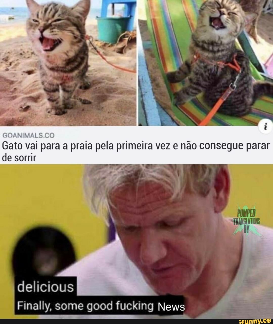 Gato vai para a praia pela primeira vez e não consegue parar
delicious
Finally, some good fucking News