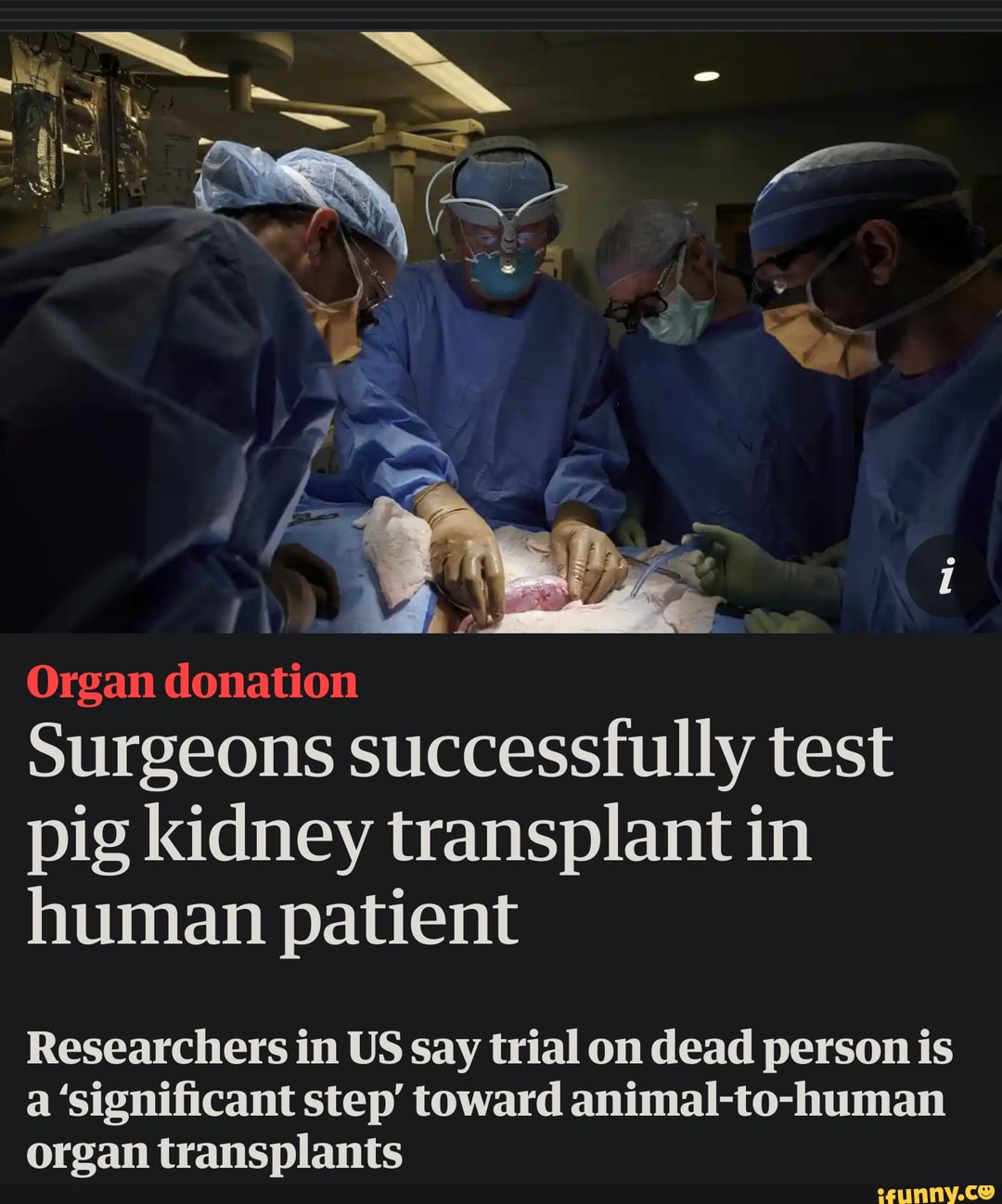 Gimmie that swine! Organ donation il Surgeons successfully test pig