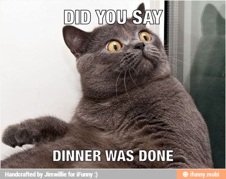 DINNER WAS-DONE