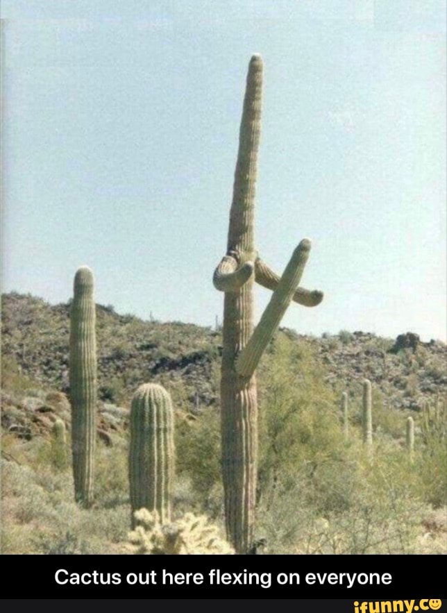 Cactus out here flexing on everyone - Cactus out here flexing on everyone