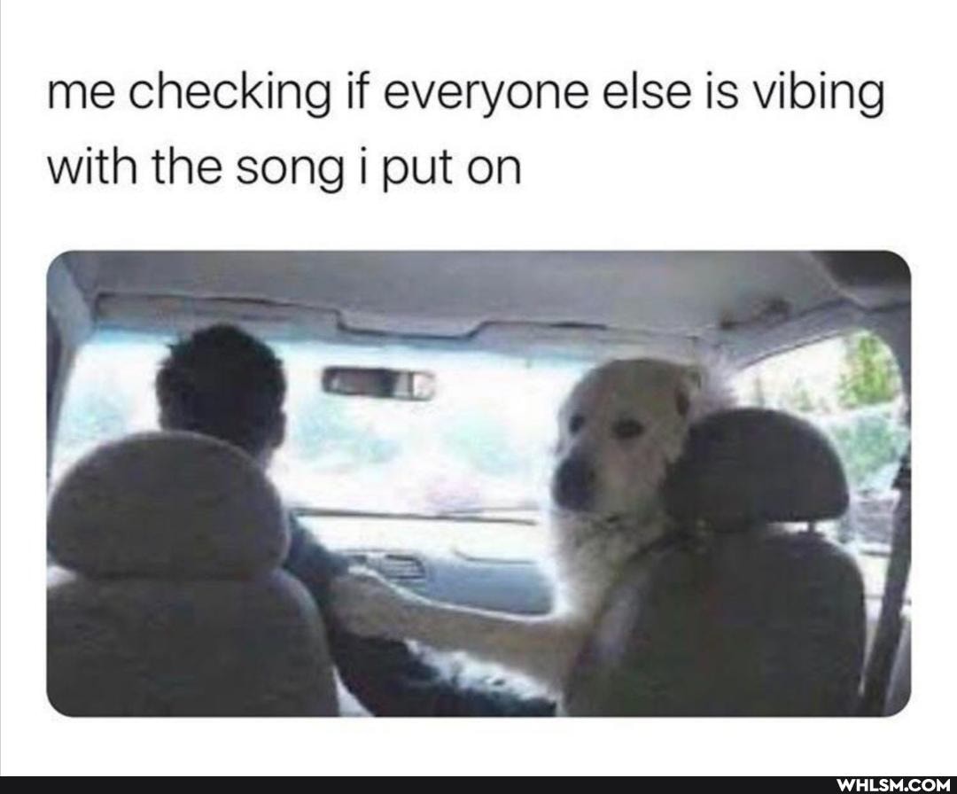 me checking if everyone else is vibing with the song put on
