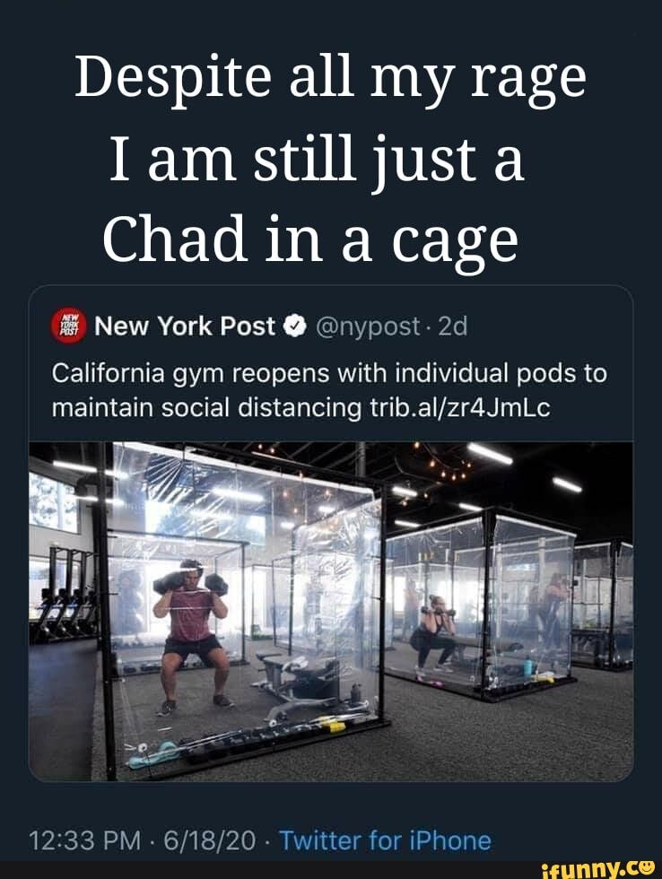 Despite all my rage
Iam still just a
Chad in a cage
i New York Post Onypost- 2d
California gym reopens with individual pods to
maintain social distancing trib.al/zr4JmLc
12:33 PM
Twitter for iPhone