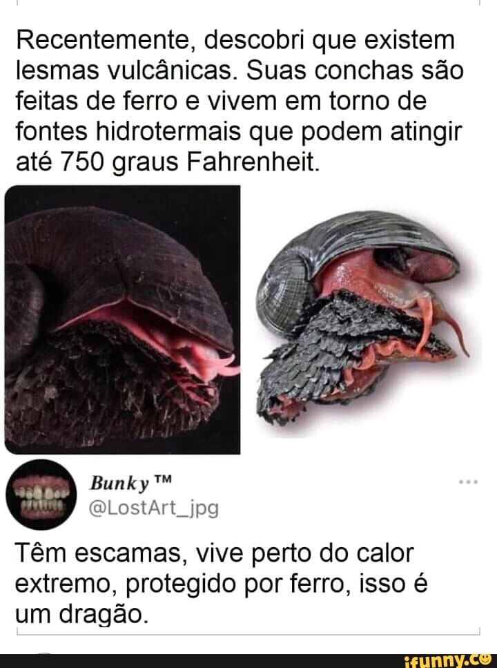 Recentemente, descobri que existem lesmas vulcânicas. Suas conchas são feitas de ferro e vivem em torno de fontes hidrotermais que podem atingir até 750 graus Fahrenheit.
Têm escamas, vive perto do calor extremo, protegido por ferro, isso é um dragão.
