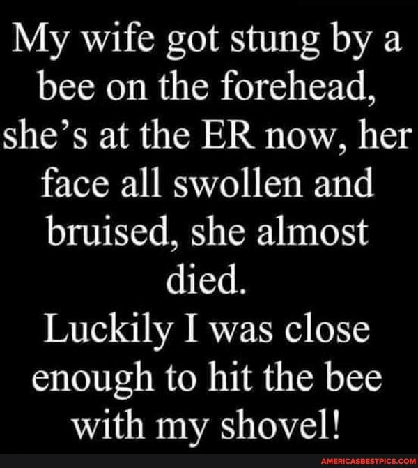 My wife got stung by a bee on the forehead, she's at the ER now, her face all swollen and bruised, she almost died.
Luckily I was close enough to hit the bee with my shovel!