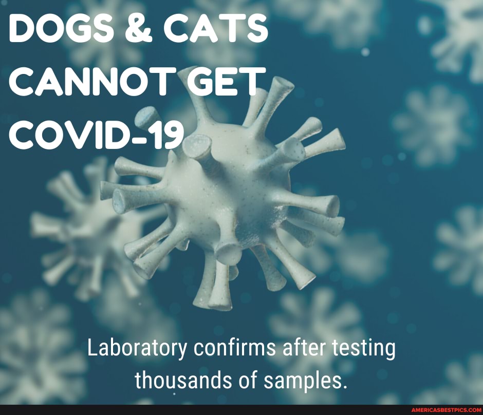 DOGS & CATS CANNOT GET COVID-19
Laboratory confirms after testing thousands of samples.