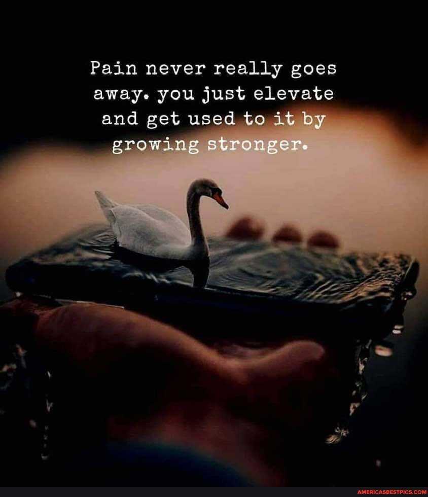 Pain never really goes away. you just elevate and get used to it by growing stronger.