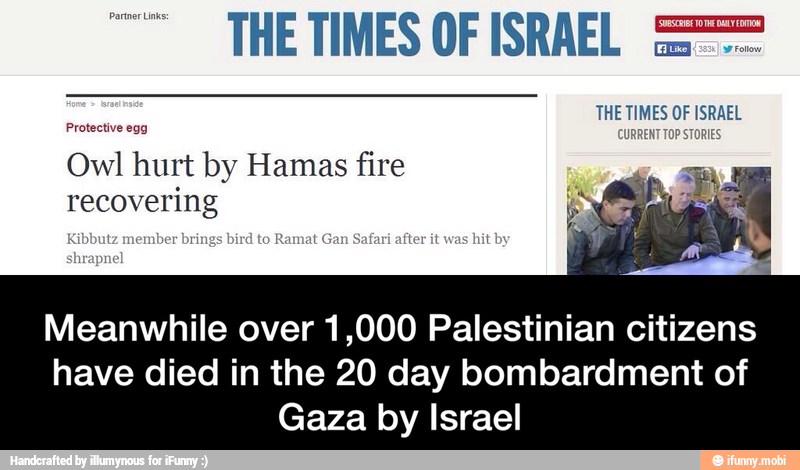 THE TIMES OF ISRAEL
THE TIMES OF ISRAEL
CURRENT TOP STORIES
Protective egg
Owl hurt by Hamas fire
recovering
Meanwhile over 1,000 Palestinian citizens
have died in the 20 day bombardment of
Gaza by Israel - Meanwhile over 1,000 Palestinian citizens have died in the 20 day bombardment of Gaza by Israel