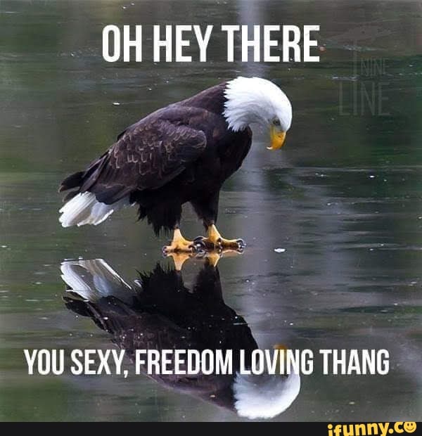 OHHEY THERE
YOU
SEXY, FREEDOM