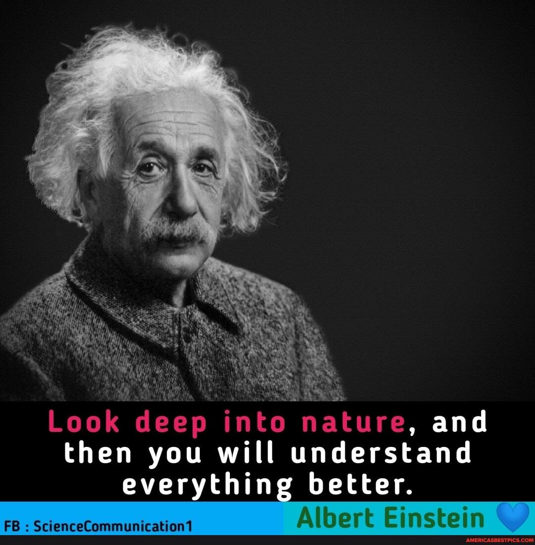 Look deep into nature, and then you will understand
everything better.